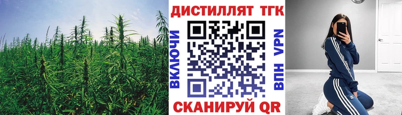 ТГК концентрат  Купить где  Сим 