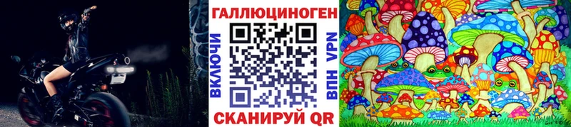 Галлюциногенные грибы GOLDEN TEACHER Купить Сим